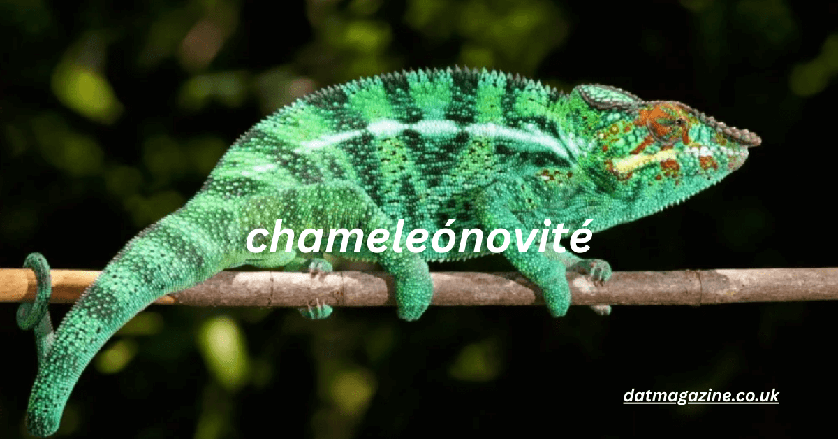 Chameleónovité (Chamaeleonidae) — The Ultimate Guide to Color‑Changing Reptiles, Their Habits, and Conservation