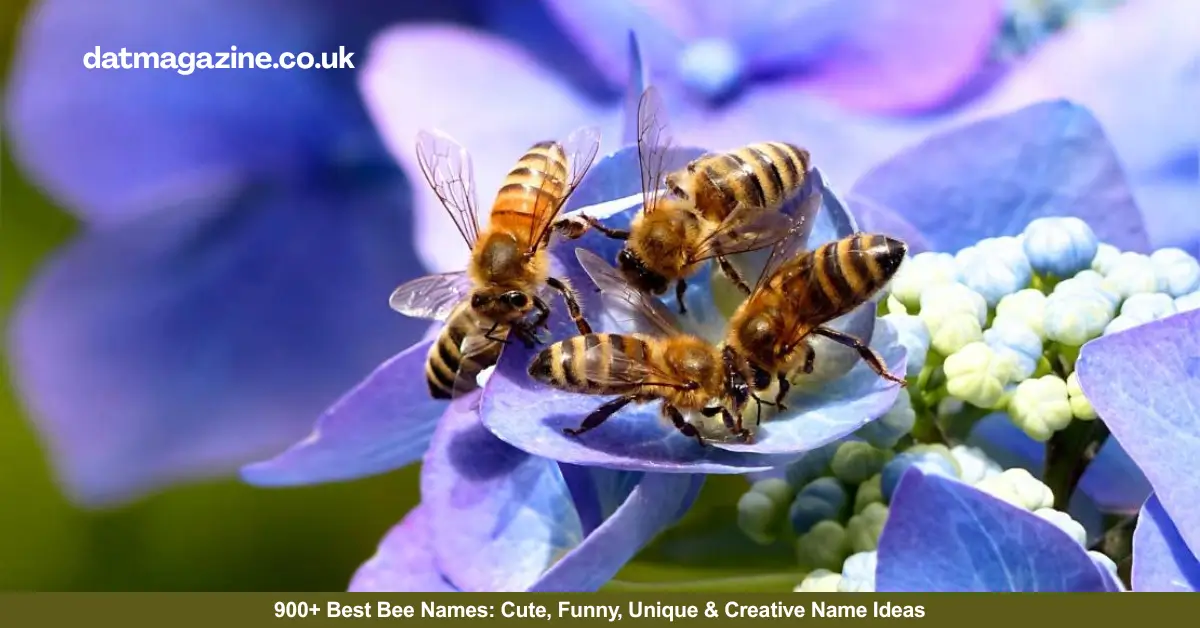 900+ Best Bee Names: Cute, Funny, Unique & Creative Name Ideas