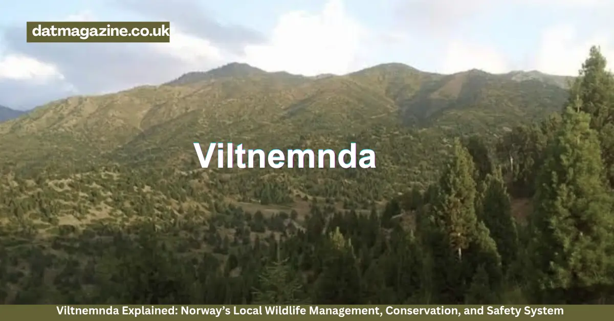 Viltnemnda Explained: Norway’s Local Wildlife Management, Conservation, and Safety System